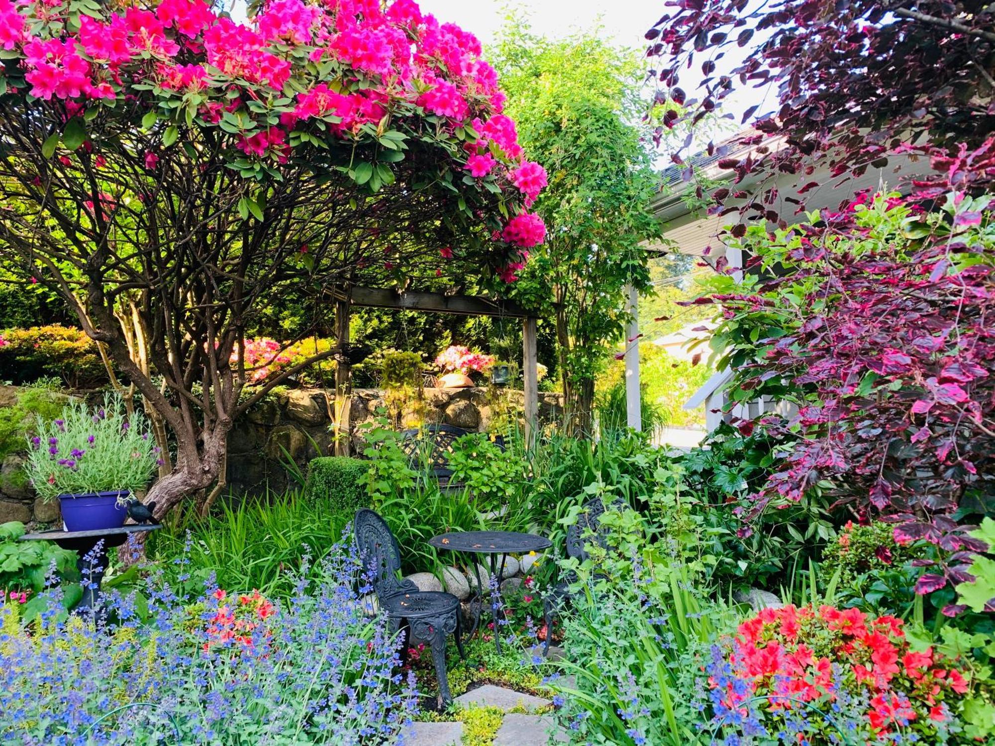 Crystal'S View Bed & Breakfast North Vancouver Exterior photo